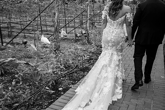 Wedding couple portrait of newlyweds holding hands, walking away down a brick vineyard path, her lace off-shoulder gown train flowing