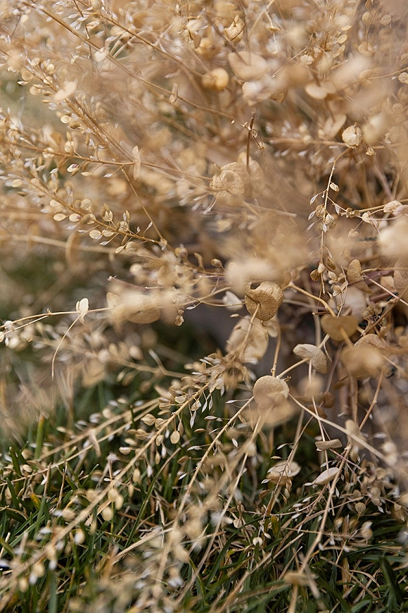 Dried florals dried flower bouquet with seed pods and branches arranged in a neutral palette against grass and foliage background