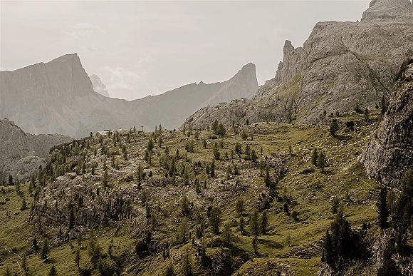 Mountain landscape with pine trees on a grassy hillside below rocky cliffs, mountain peaks and distant ridgelines under open sky