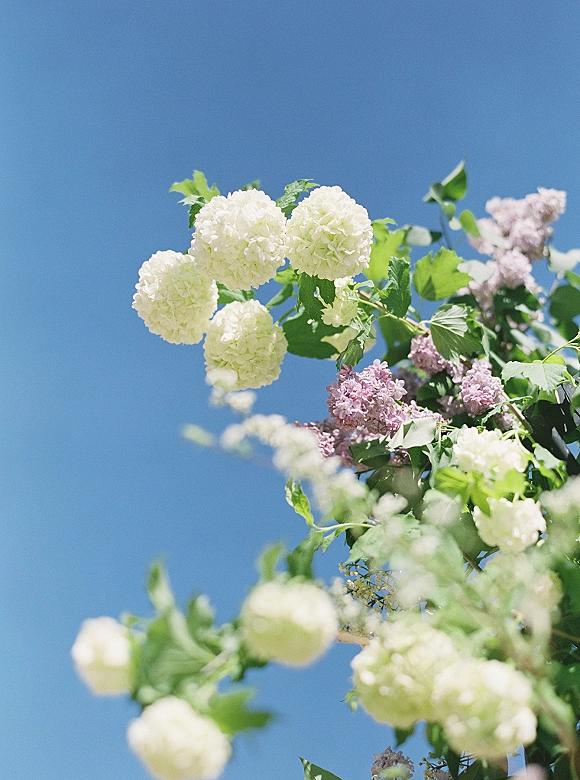 Wedding florals with white wedding flowers and lilac blooms, green leaves and branches arranged airily against a blue sky
