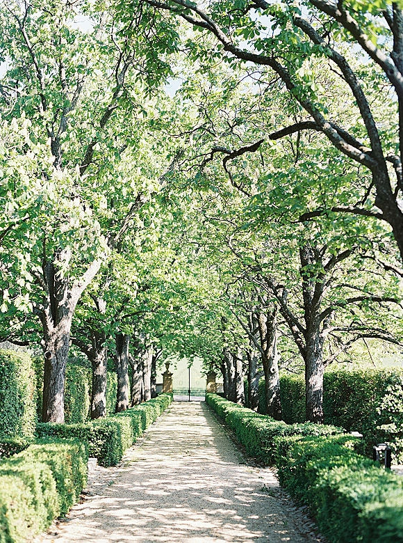 Garden walkway with trimmed hedges and a tree lined path leading to a wrought iron gate, with dappled sunlight on the gravel path