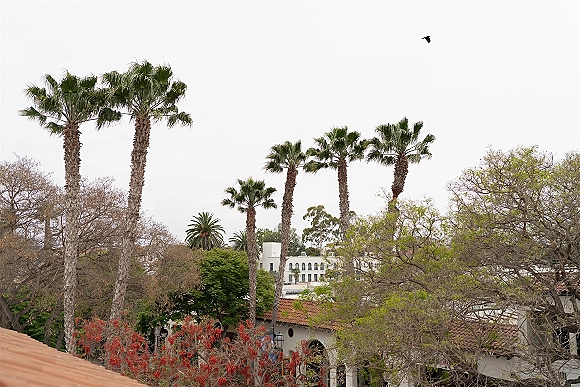 Wedding venue exterior featuring a spanish style wedding venue with white stucco walls, arched windows, and palm trees under an overcast sky