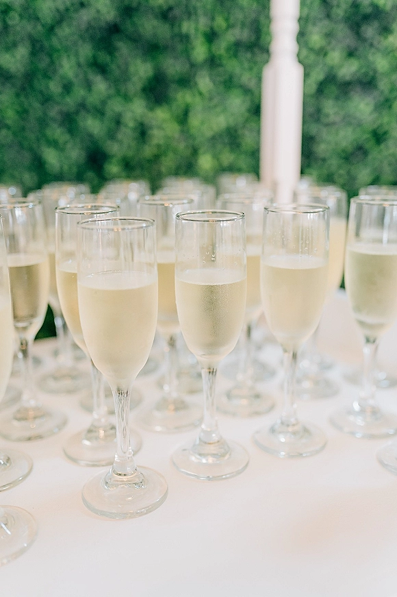 Champagne toast setup with a neat lineup of filled wedding champagne flutes on a white tablecloth against a green hedge backdrop