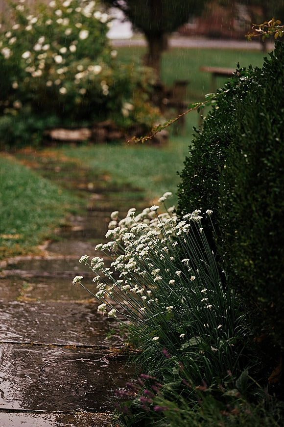 Rainy garden path with rain on stone walkway, bordered by white flowers and trimmed hedge, leading through a wet lawn and trees