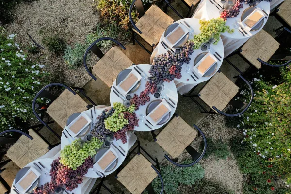 Reception tablescape with an outdoor reception table, grapes runner on white tablecloth, grey plates, linen napkins, mixed chairs in a garden setting