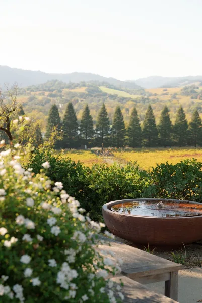 Outdoor wedding venue with a stone water fountain and wooden bench, framed by white flowers, vineyard fields, pine trees, and hills under open sky