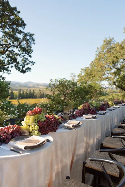 Reception tablescape with white linens, layered plates, linen napkins, flatware, green glass votives and grapes, set before vineyard hills