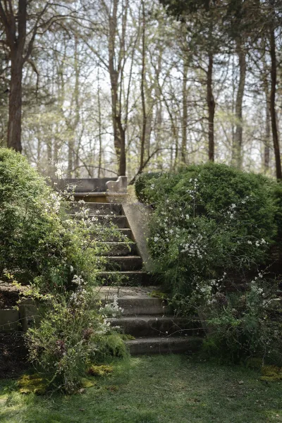 Garden stone steps with moss climbing a stone garden staircase, bordered by flowering shrubs and shaded by woodland trees