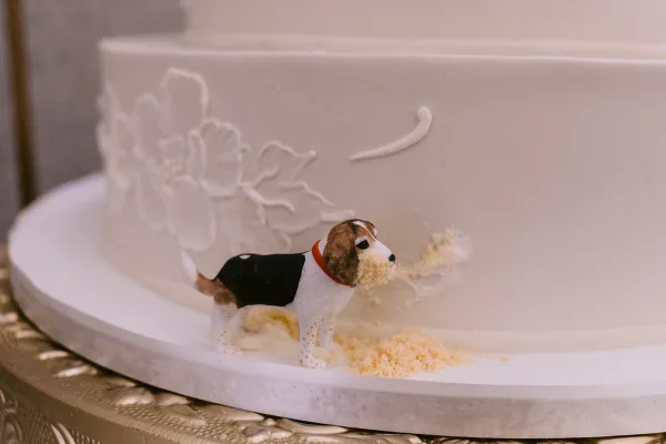 Wedding cake with white fondant and floral applique, topped with a dog figurine, displayed on a cake board over a textured tablecloth