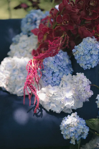 Wedding florals featuring blue hydrangeas and burgundy orchids with pink hanging amaranthus on a dark surface, blurred greenery behind
