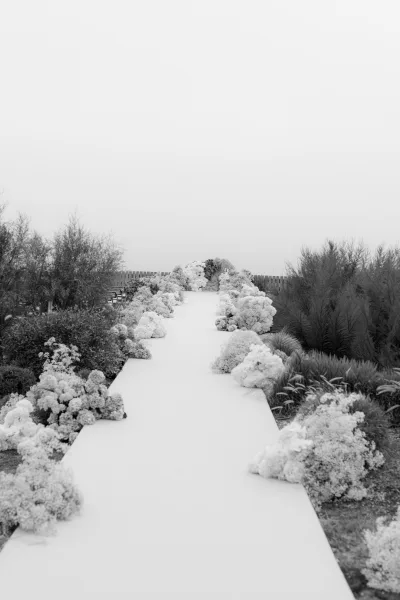 Ceremony aisle design for an outdoor ceremony setup featuring an aisle runner, set amid garden shrubs, coastal vegetation, and the ocean horizon.