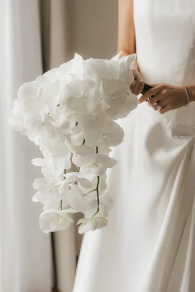 Bridal bouquet, a cascading orchid bouquet with a clean ribbon wrap, its trailing blooms arranged in a minimalist style.