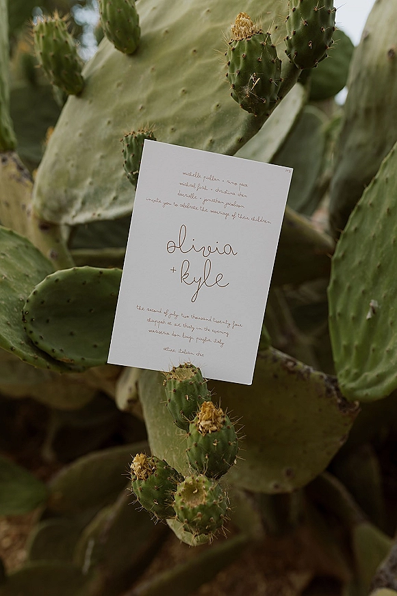 Wedding invitation with calligraphy lettering in gold ink on a white card, set against prickly pear cactus pads and outdoor greenery