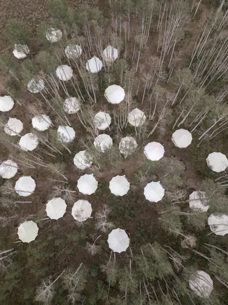 Outdoor reception setup with wedding umbrella canopy, white umbrellas shading guest seating arranged among trees on a dirt forest floor