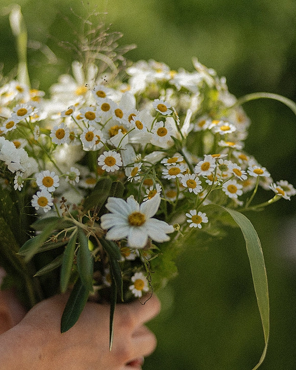 Wildflower bouquet with daisy wedding bouquet blooms and greenery, hand-tied stems held in hands against soft outdoor foliage backdrop