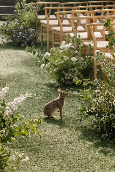 Ceremony aisle design for an outdoor ceremony setup, lined with aisle flowers on a grass lawn, framed by garden hedges and stone steps.