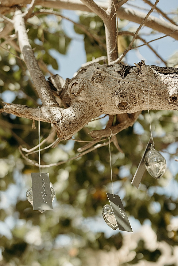 Wedding escort cards hanging from tree branches on string with glass ornaments and paper tags, set against green leaves and sky