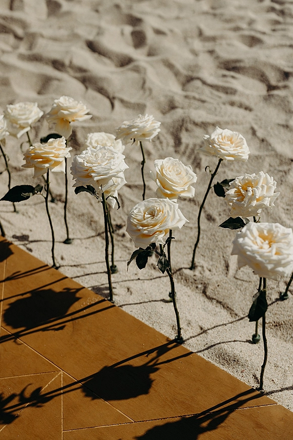 Ceremony aisle flowers with white rose aisle decor, single stems staked in sand along the walkway for minimalist beach ceremony styling