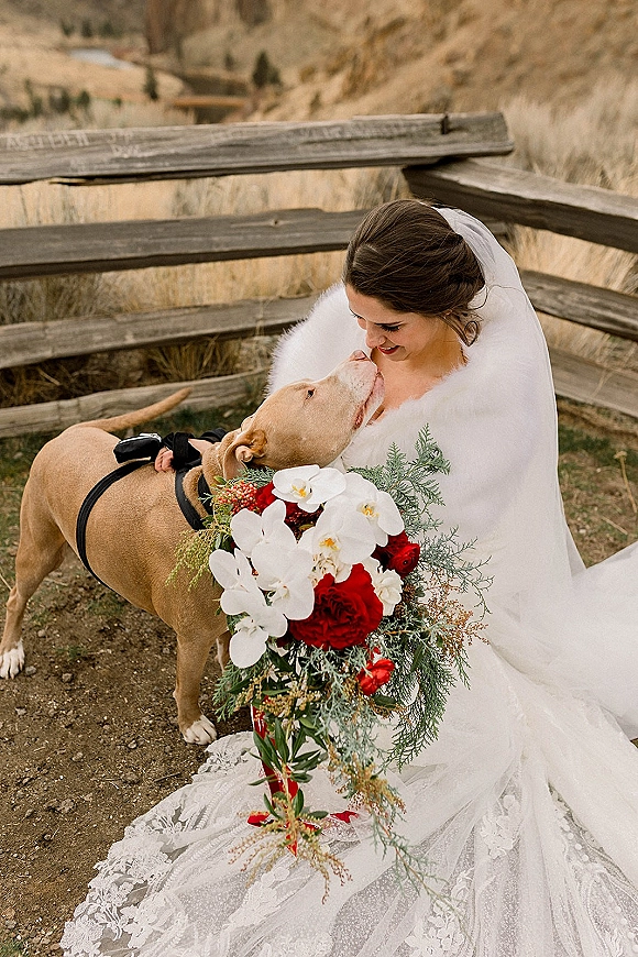 Bride with dog cuddling as the dog kisses her, holding a red and white orchid bouquet in front of a rustic wooden fence and hills