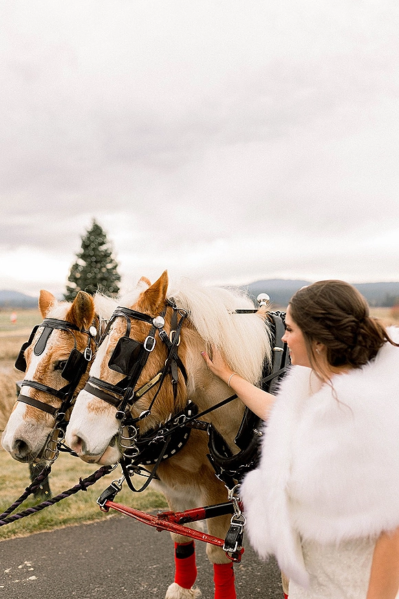 Bridal with horses as the bride pets a harnessed carriage horse on a paved road, wearing a faux fur wrap beside a grassy field and cloudy hills