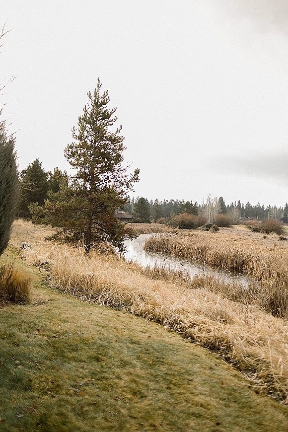 Outdoor wedding venue beside a river with grassy bank and reeds, framed by pine trees under a cloudy sky near distant houses