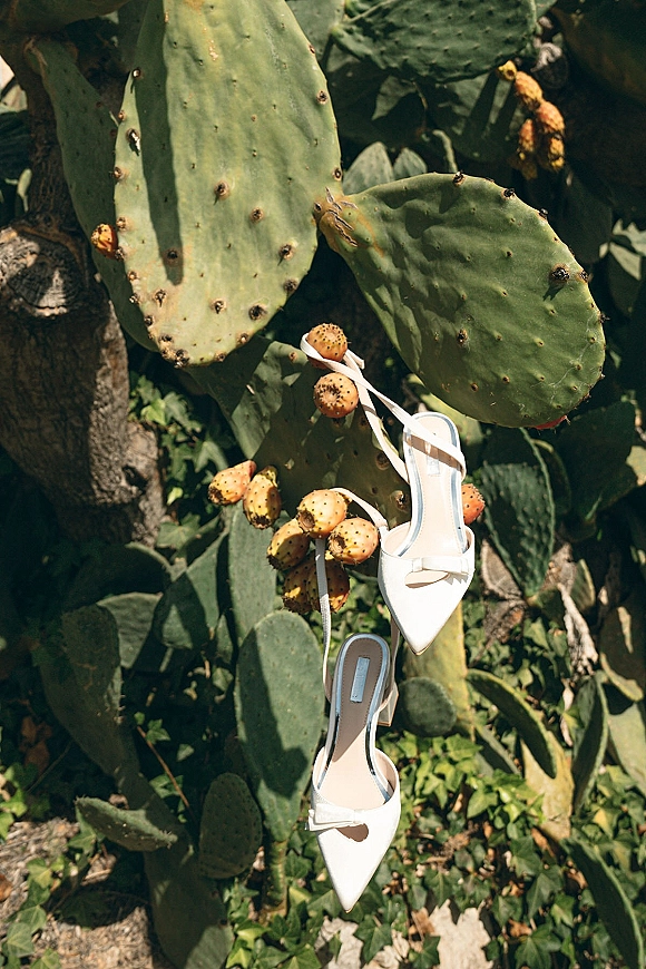 Bridal shoes, white wedding heels with pointed toes and ankle straps, resting on prickly pear cactus pads in sunlit greenery