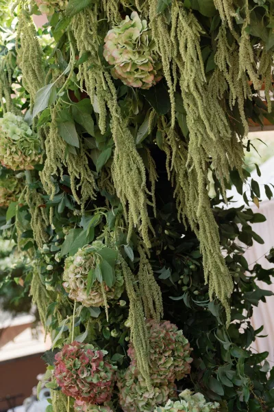 Wedding floral installation with hanging wedding greenery and hydrangeas draping from a canopy over a sunlit outdoor walkway entrance