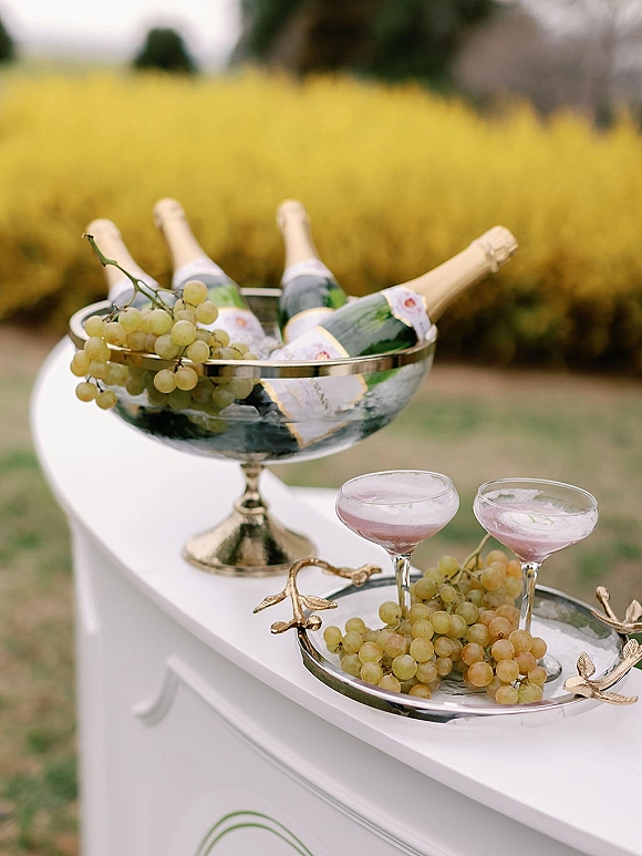 Champagne display with champagne on ice in a metal bowl, coupe glasses and grapes on a bar cart set on an outdoor lawn by hedges