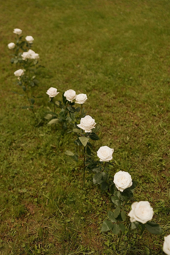 Ceremony aisle flowers with white rose aisle markers laid as single stems with greenery along a grass lawn for minimalist outdoor decor