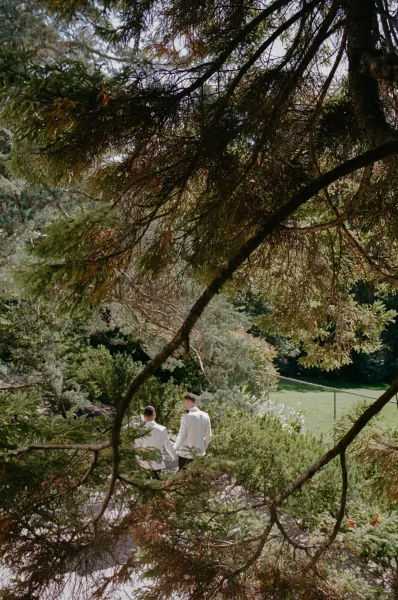 Couple portrait of two grooms holding hands walking away in white shirts and dress pants, framed by evergreen trees along a garden path