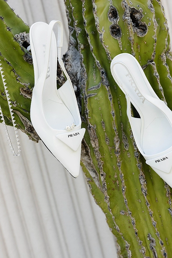 Bridal shoes, white wedding heels with crystal embellishments, styled as pointed-toe slingbacks on a wood surface beside a cactus