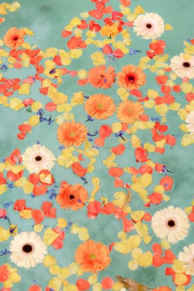 Floating flower petals with rose petals in water, coral and yellow blooms, and small purple flowers drifting on an aqua surface