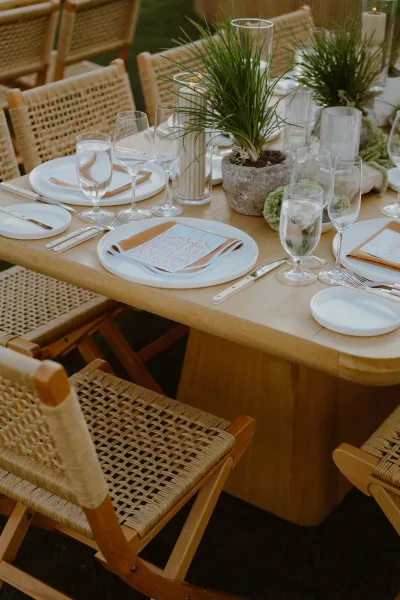 Reception tablescape on an outdoor reception table with potted greenery, set on a grass lawn with modern place settings.