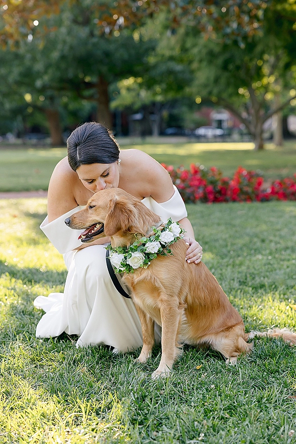Bride with dog in a wedding dog portrait, kissing a harnessed golden retriever with a white rose collar on a grassy garden lawn
