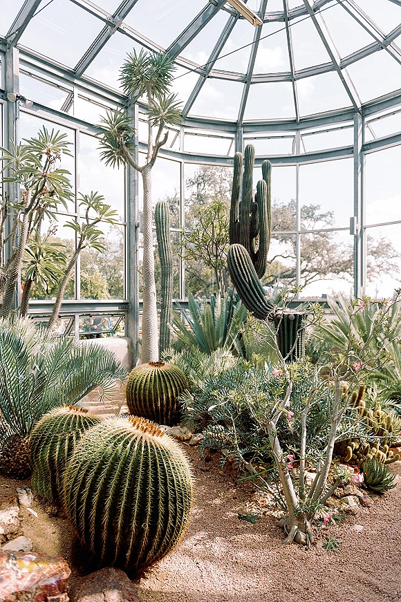 Greenhouse venue with cacti along a gravel path inside a glass-and-metal conservatory, natural light filtering in with sky and trees beyond