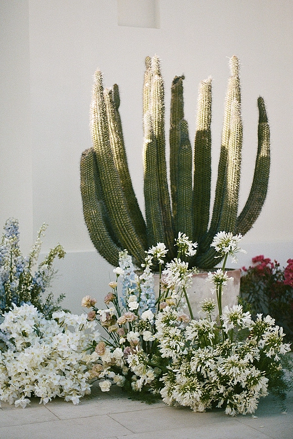 Wedding floral arrangement with blue, pink, and white blooms and greenery around a large cactus in a planter against a white wall patio