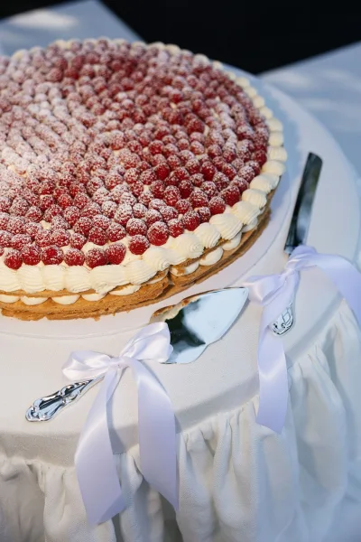 Wedding cake, a raspberry cake with a rustic pastry crust and round, simple design, styled as a single tier dessert.