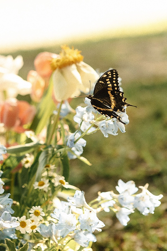 Wedding bouquet close-up of a wildflower bridal bouquet with white and peach blooms, a butterfly perched on petals, in a green field background