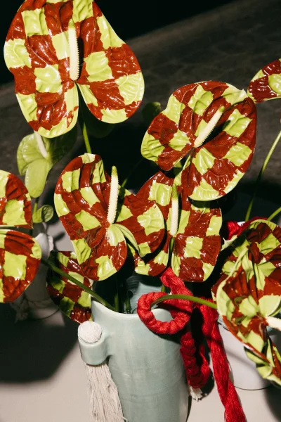 Floral centerpiece, an anthurium centerpiece arranged in a ceramic vase, displayed against a dark backdrop.