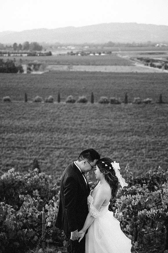 Couple portrait of bride and groom holding hands, foreheads touching as her veil lifts, with vineyard rows and mountains behind