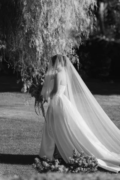 Black and white bridal portrait of a bride with veil, side profile on a grass lawn beneath hanging tree branches