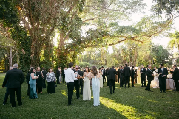 Wedding cocktail hour as guests mingle at the wedding, champagne glasses raised in a sunlit garden beneath hanging vines on the lawn.