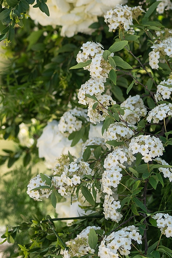 Wedding florals with white wedding flowers, greenery, and flowering branches glowing in sunlight against lush garden foliage