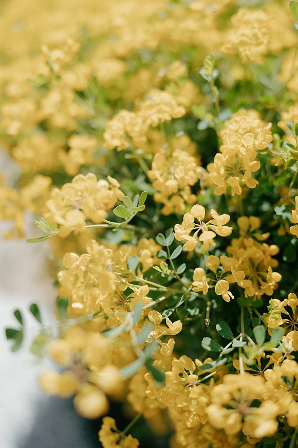 Yellow wedding flowers arranged with green foliage on a light surface, with a soft bokeh background and bright yellow accents