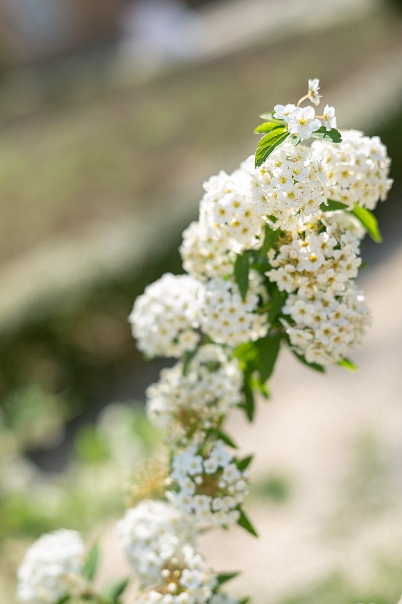 White wedding flowers in a white floral spray with green leaves and a flowering branch, softly lit against a blurred sunlit garden backdrop