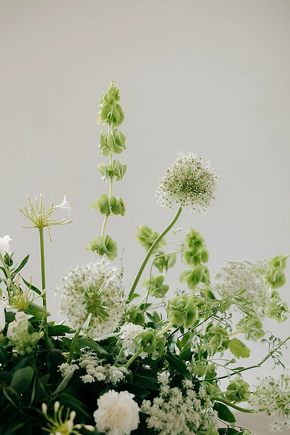 Wedding florals in green and white wedding flowers with tall Bells of Ireland and airy allium blooms against a light neutral wall