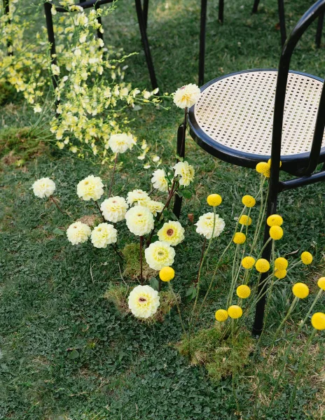 Ceremony aisle flowers in yellow and green line the outdoor lawn, with low ground florals beside black bentwood chairs with cane seats