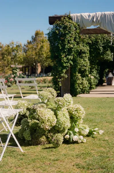 Ceremony aisle flowers shape elegant garden ceremony decor, white hydrangeas clustered along a lawn pathway framed by garden trees.