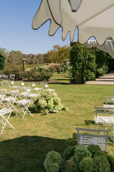 Outdoor ceremony setup for a garden wedding ceremony with green hydrangea arrangements lining the aisle beside rose bushes and a vineyard.