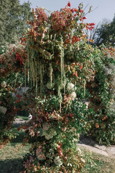 Wedding ceremony arch draped in lush greenery and cascading amaranthus, with hydrangea blooms and autumn foliage on a garden lawn